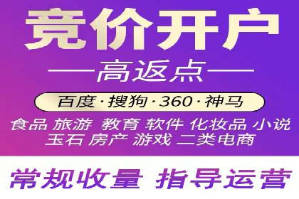 百度竞价广告的投放策略与成功案例分析
